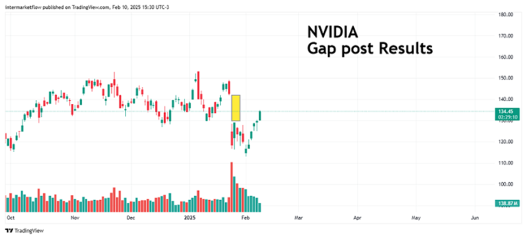 Line chart showing a gap up in NVIDIA's stock price after earnings release. Technical Indicators